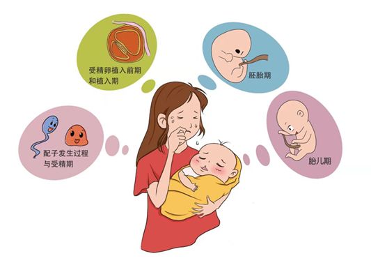 预防出生缺陷日 懂得三级预防孕育健康宝宝